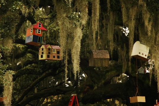 Birdhouses in the Tree of Life, Audobon Park, New Orleans (click to enlarge)